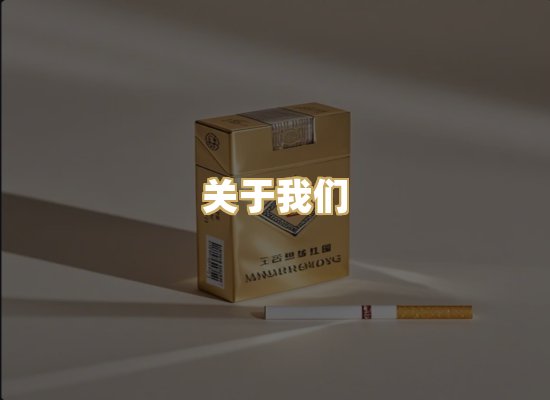 关于我们